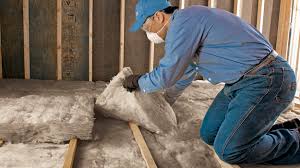 Best Wall Insulation Installation  in Goodwater, AL