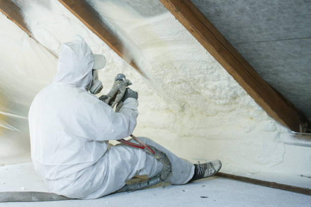 Best Blown-In Insulation  in Goodwater, AL