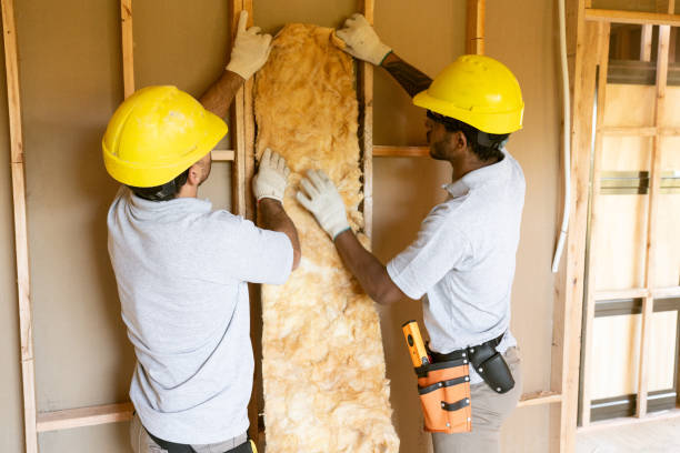 Best Blown-In Insulation  in Goodwater, AL