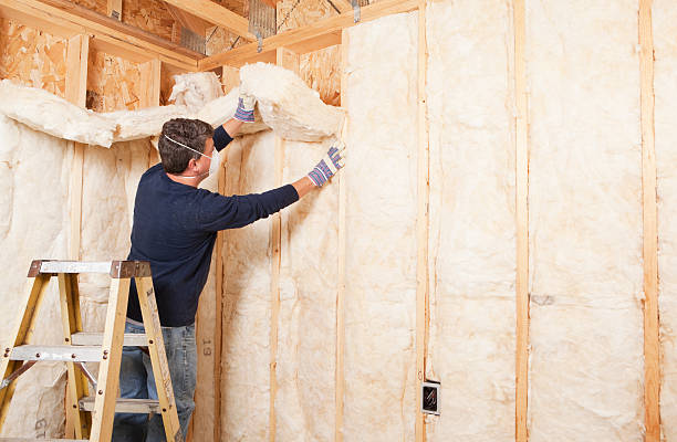 Best Reflective Insulation  in Goodwater, AL