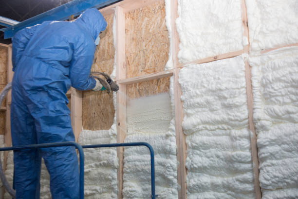 Best Eco-Friendly Insulation Solutions  in Goodwater, AL